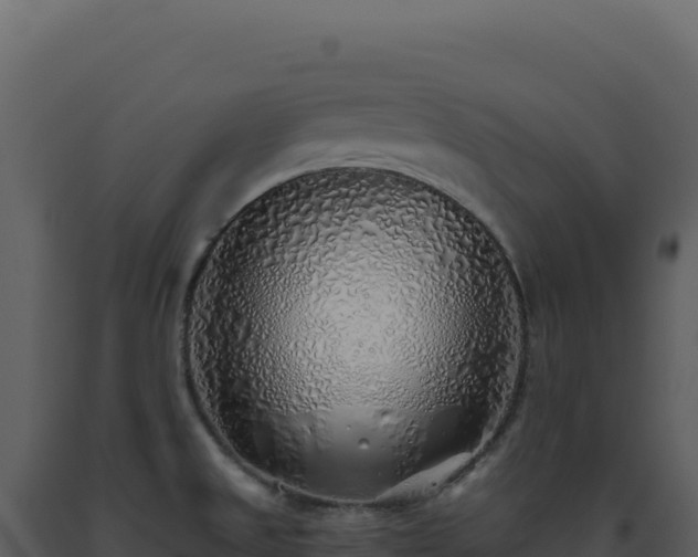 X0000093501525200710191238