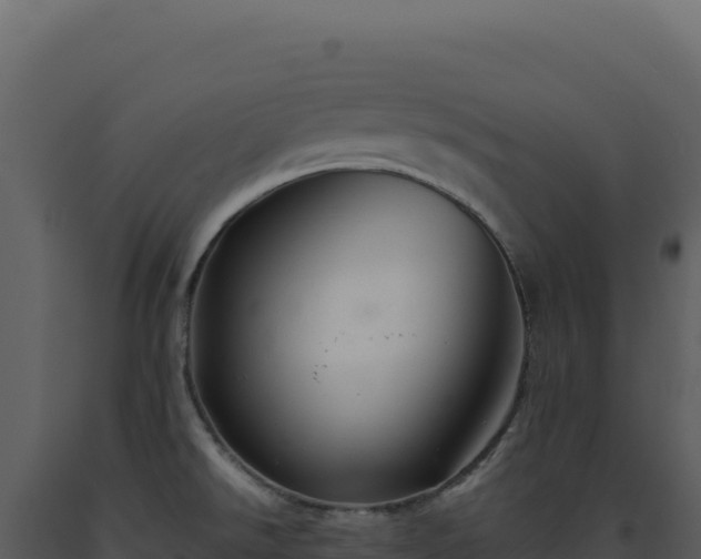 X0000093501526200710191238