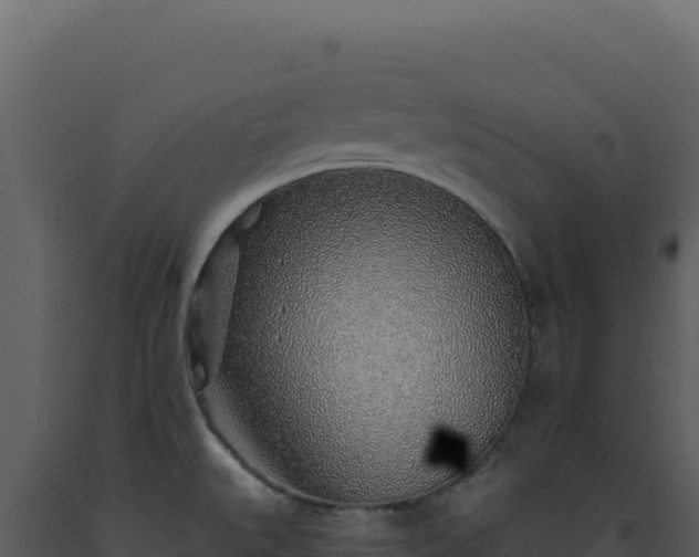 X0000093501527200710191238