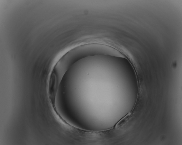 X0000093501528200710191238