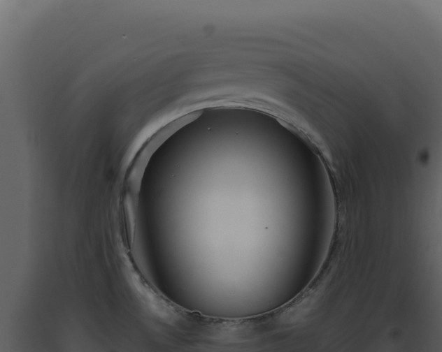 X0000093501530200710191238