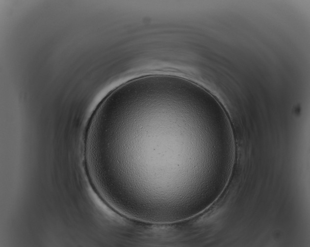 X0000093501531200710191238