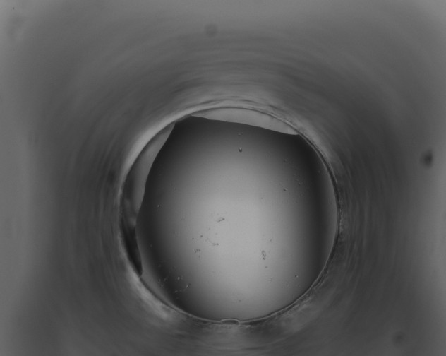 X0000093501532200710191238