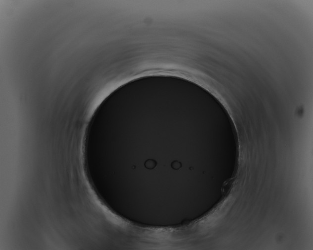 X0000093501533200710191238