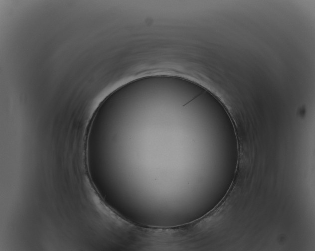X0000093501534200710191238