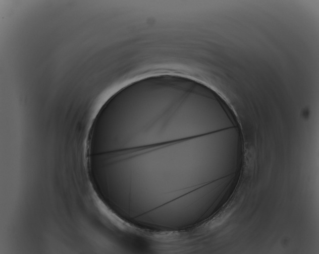 X0000093501535200710191238