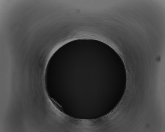 X0000093501536200710191238