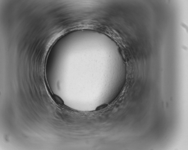 X0000093500003200710261146