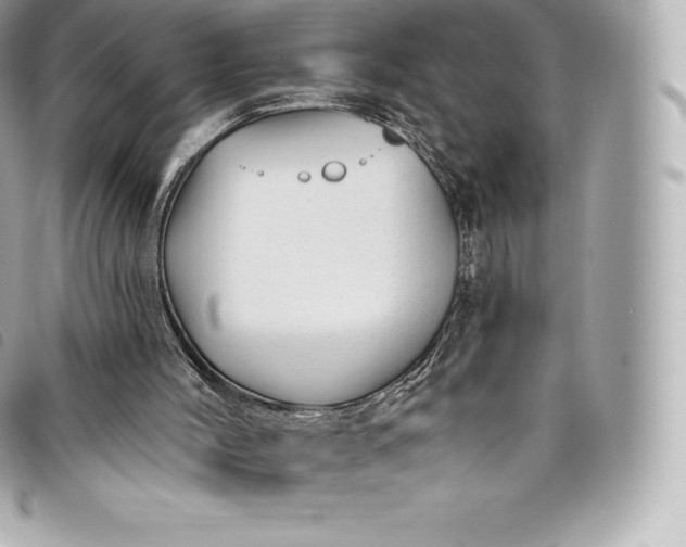 X0000093500004200710261146