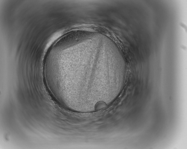 X0000093500006200710261146