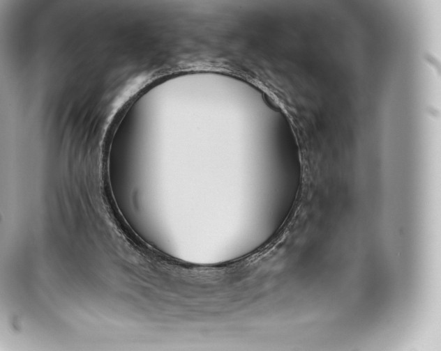 X0000093500008200710261146