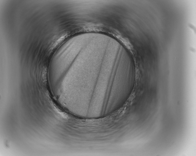 X0000093500009200710261146