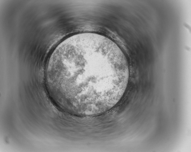 X0000093500012200710261146