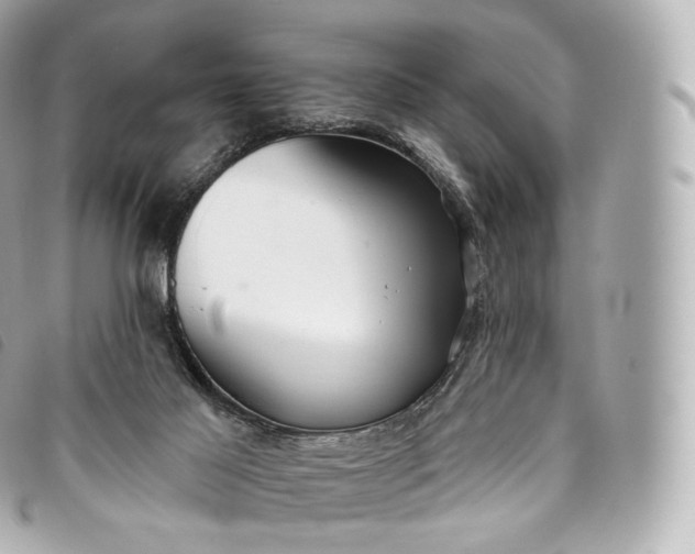 X0000093500021200710261146