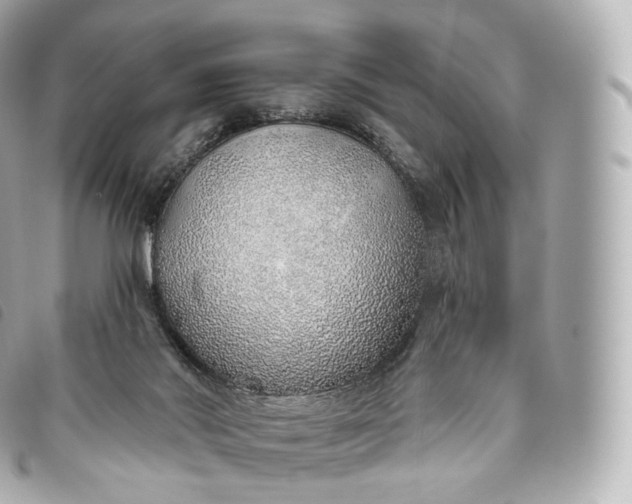 X0000093500022200710261146