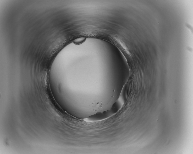 X0000093500023200710261146