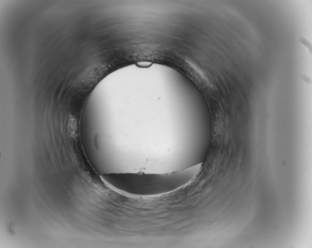X0000093500025200710261146