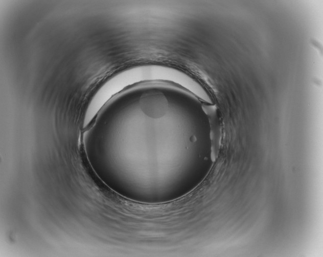 X0000093500027200710261146