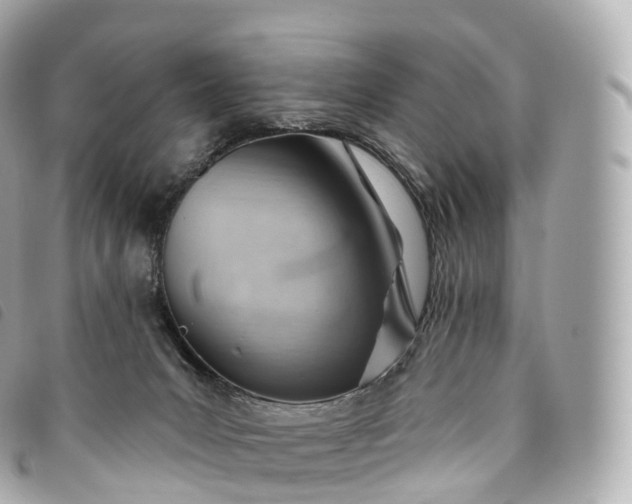 X0000093500031200710261146