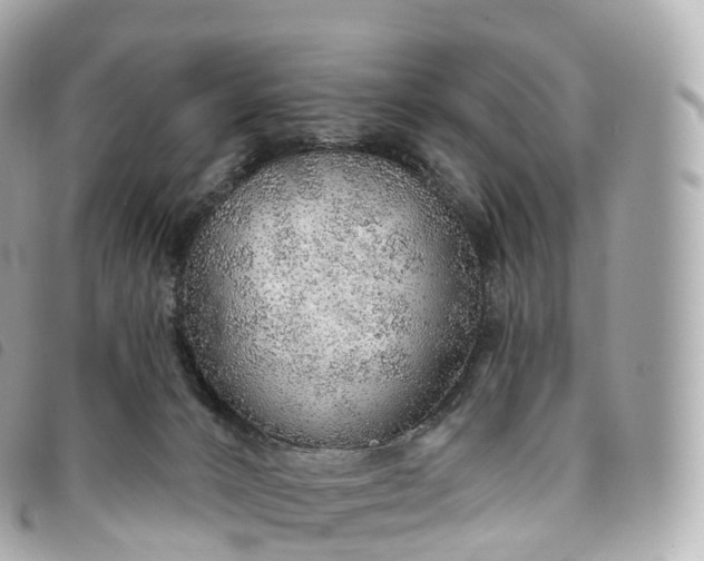 X0000093500032200710261146