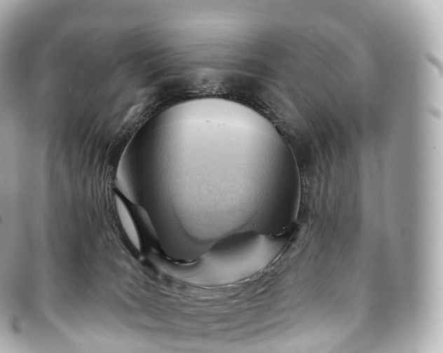 X0000093500035200710261146
