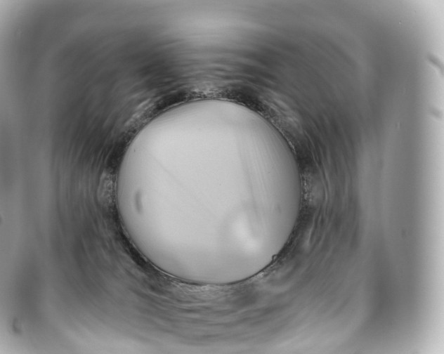 X0000093500036200710261146