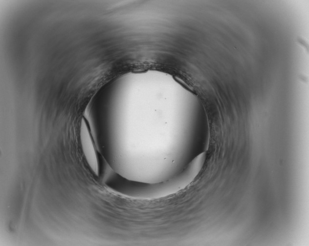 X0000093500037200710261146