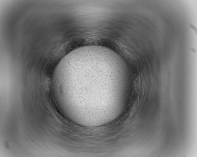 X0000093500038200710261146