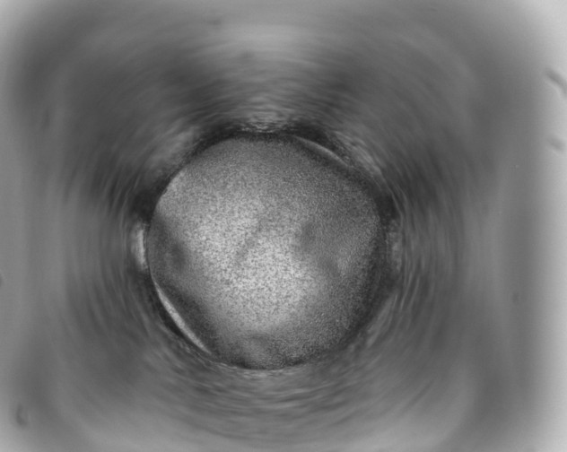 X0000093500042200710261146