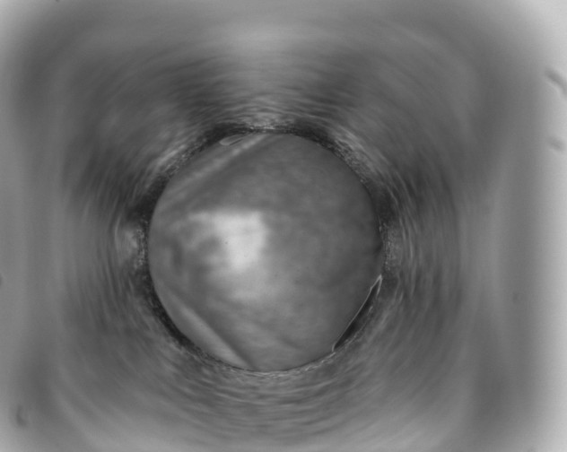 X0000093500043200710261146