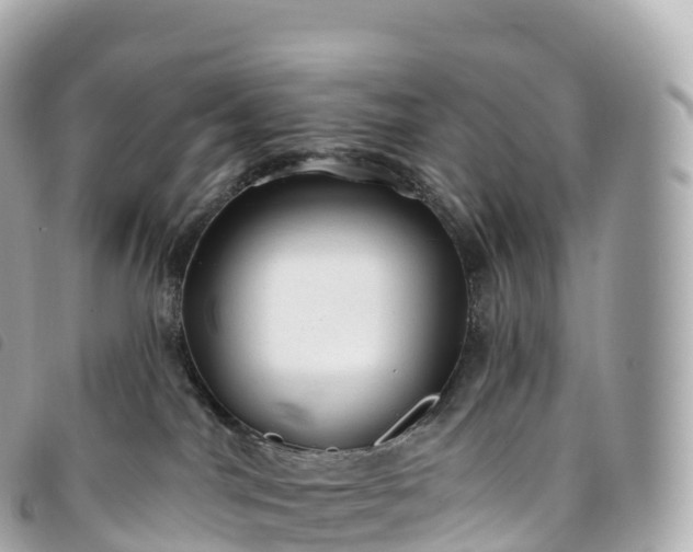 X0000093500044200710261146