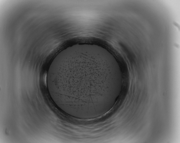 X0000093500047200710261146