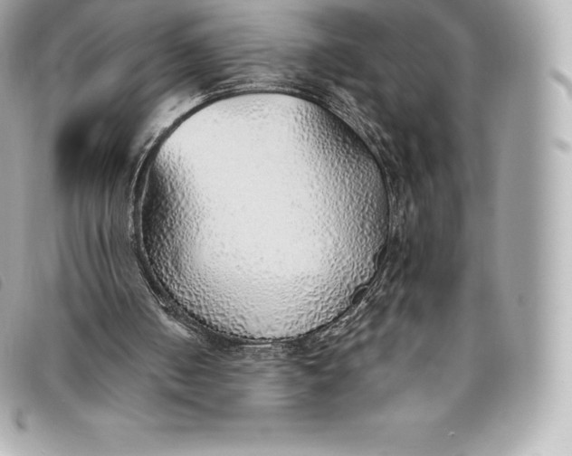 X0000093500050200710261145