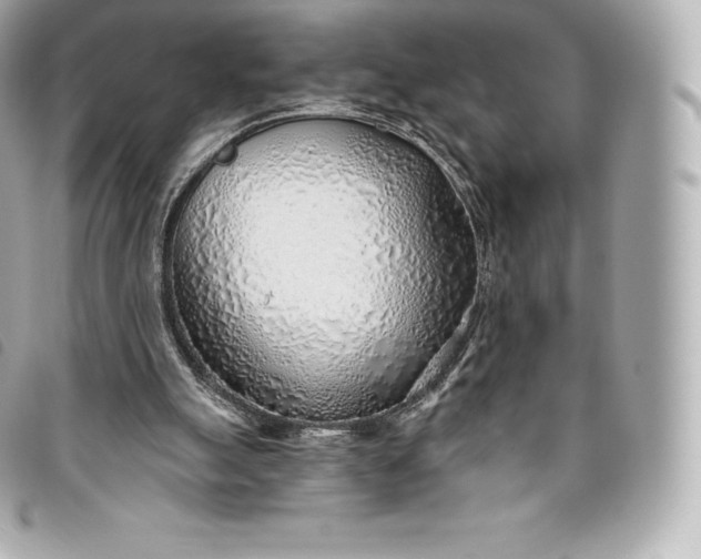 X0000093500055200710261145