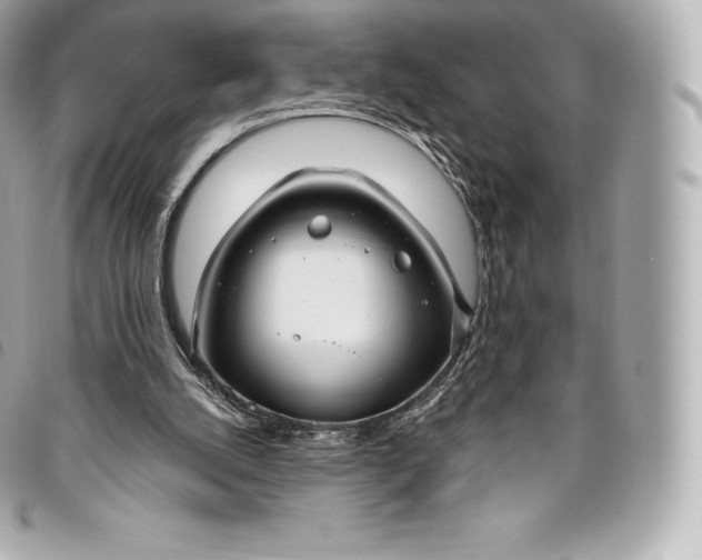 X0000093500056200710261145