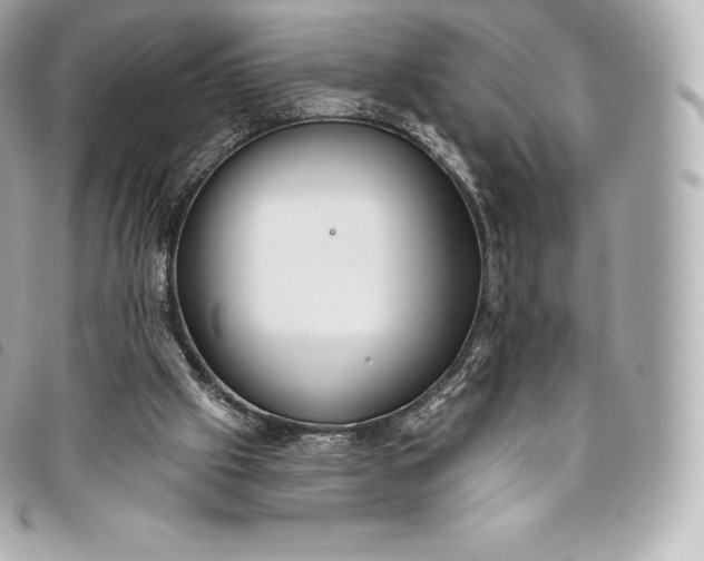 X0000093500057200710261145