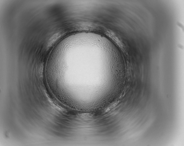 X0000093500058200710261145
