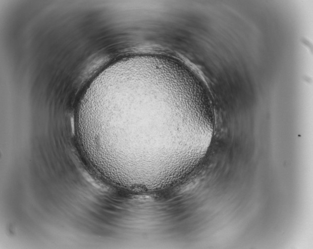 X0000093500061200710261145
