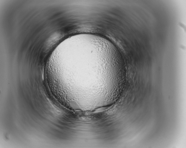 X0000093500062200710261145