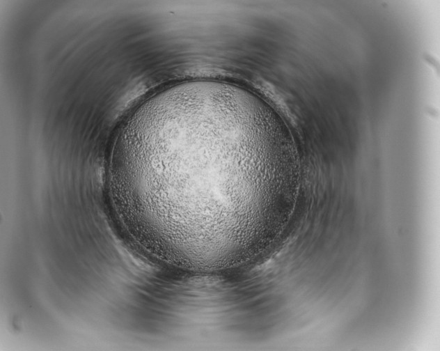 X0000093500063200710261145