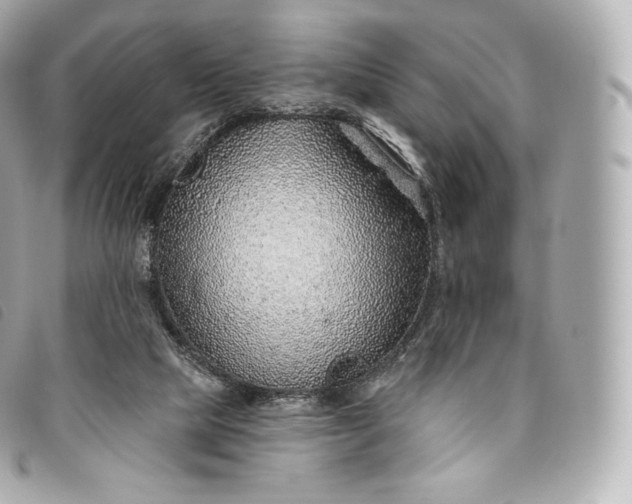 X0000093500065200710261145