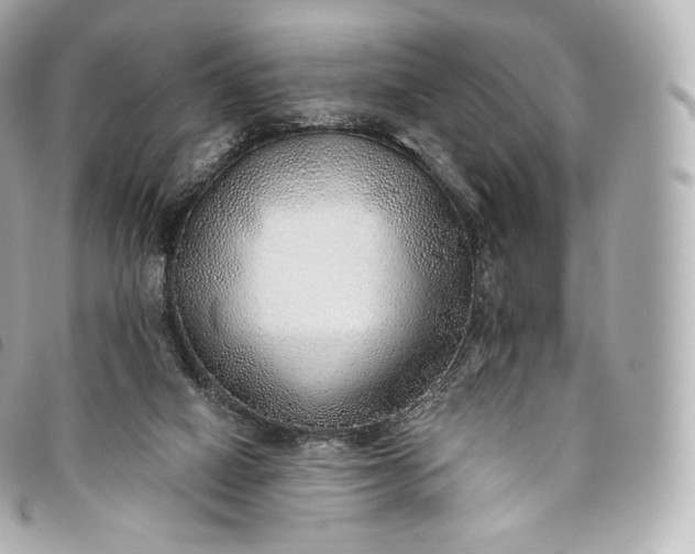 X0000093500066200710261145