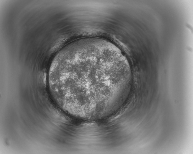 X0000093500067200710261145