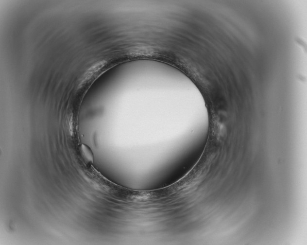 X0000093500068200710261145
