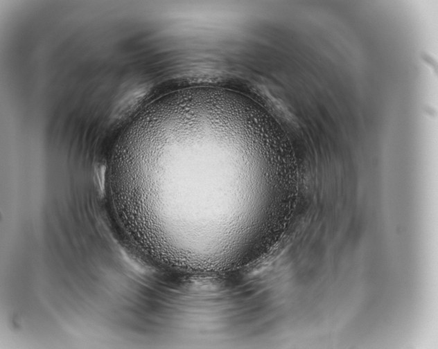 X0000093500070200710261145