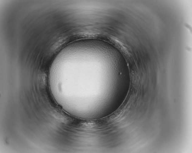 X0000093500071200710261145