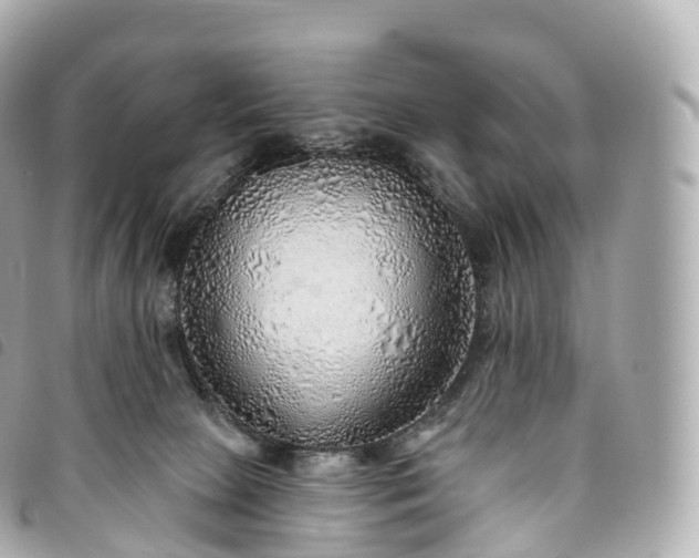 X0000093500081200710261146