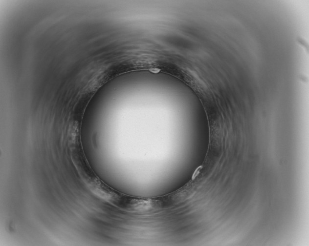 X0000093500083200710261146