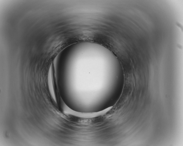 X0000093500084200710261146