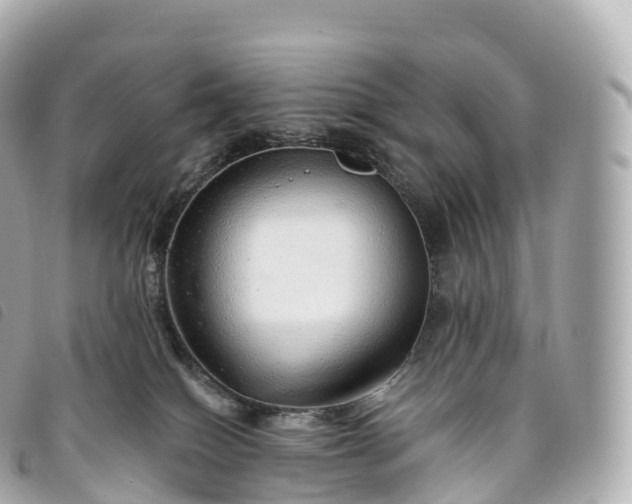 X0000093500086200710261146
